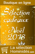 achats-livres-prehistoire-boutique-noel