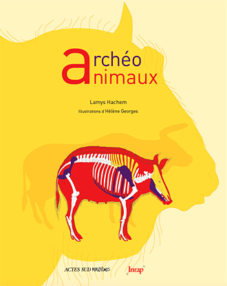 Archéo animaux 