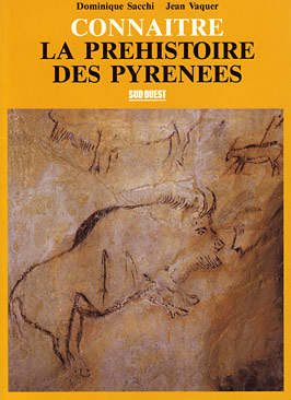 Connaître la préhistoire de Pyrénées