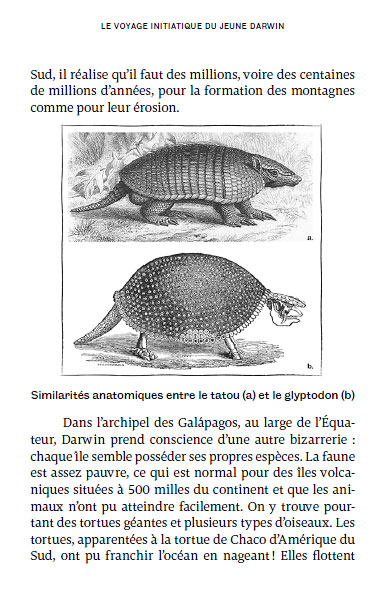 Darwin à la plage