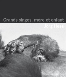 Grands singes, mère et enfant