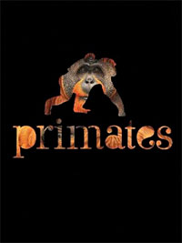 Primates - Jean-Jacques Petter