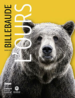 L'ours - Revue Billebaude