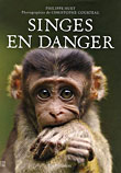 Singes en danger