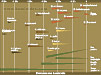 Les origines de l'homme