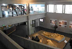 Au temps des mammouths, une exposition au Musée de préhistoire de Nemours