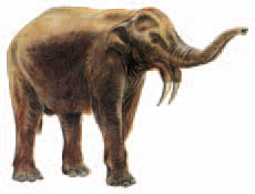 Deinotherium