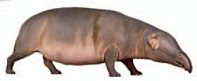 Moeritherium