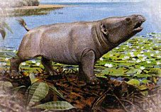 Phosphatherium