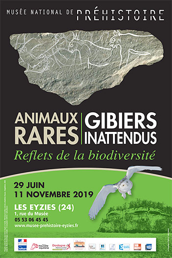 animaux-rares-gibiers-inattendus