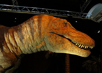 Tarbosaurus