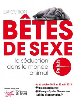 Bêtes de sexe