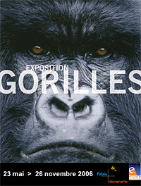 Gorilles - Affiche de l'expsotion au musée de la Découverte à Paris