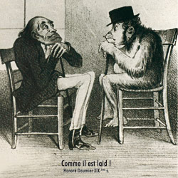 Caricature Daumier sur la ressemblance de l'Homme et du Singe