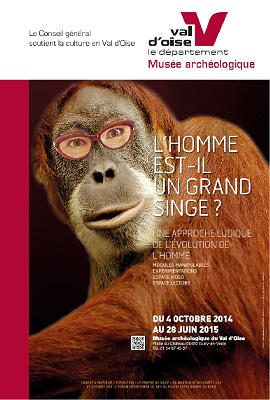 L'homme est-il un grand singe ?