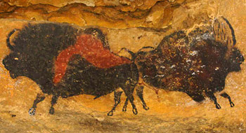 Les bisons adossés - Lascaux Nef