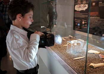 Exposition magdalénien pour toute la famille