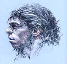 néandertal en 2013
