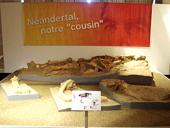 Néandertal et les mammouths