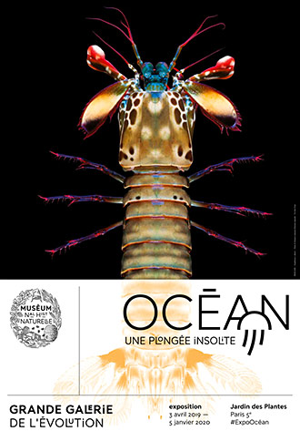 ocean-une-plongee-insolite