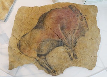 Bison Altamira - reproduction