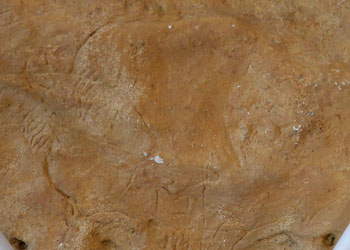 Reproduction de la paroi de la grotte des Combabelles . Atelier Arc et Os