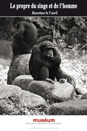 Le propre du singe - Exposition - Grenoble - Muséum d'Histoire Naturelle