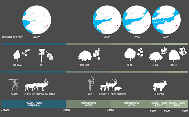 Evolution de la faune et de la flore en région parisienne depuis 12000 ans