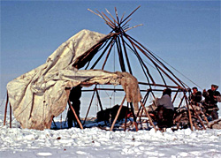 Yaranga, construction d'une hutte en Sibérie