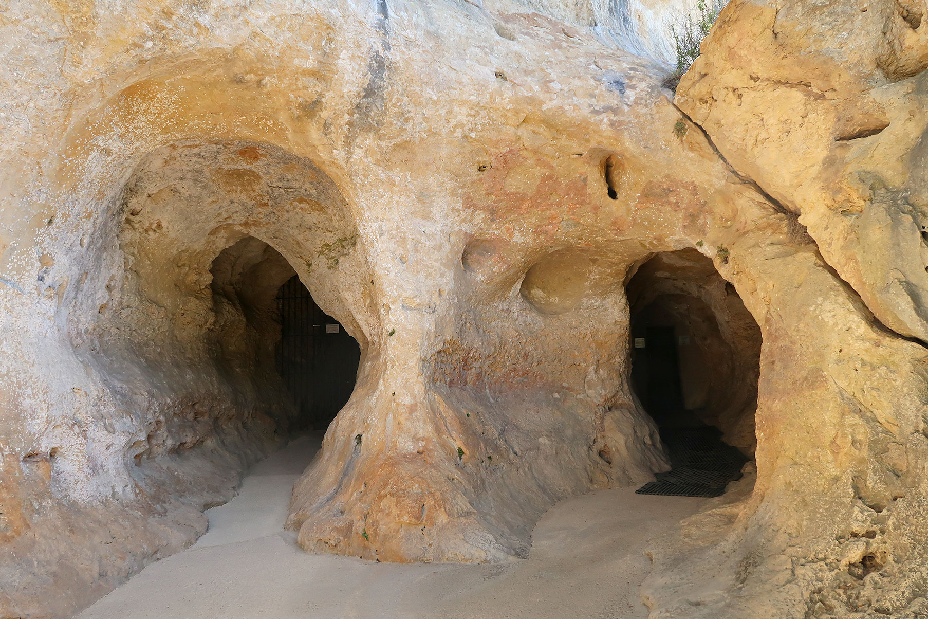 Grotte Du Font De Gaume