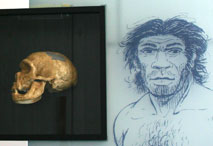 Homo Neanderthalensis - Mus�e de la pr�histoire Nemours