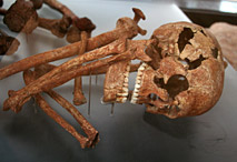 Le squelette est totalement recouvert d'ocre rouge.