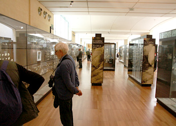 Vitrine galerie basse musée des Eyzies