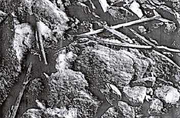 Les armes éparses d'Otzi découvertes sur le sol