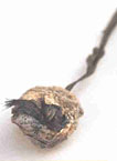 Otzi - Bourse en cuir contenant des plantes médicinales.