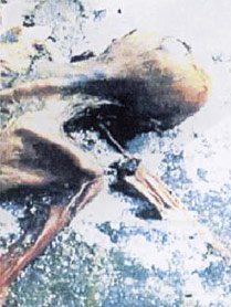 Humerus d'Otzi sectionné sur site en 1991