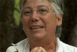 Brigitte Senut