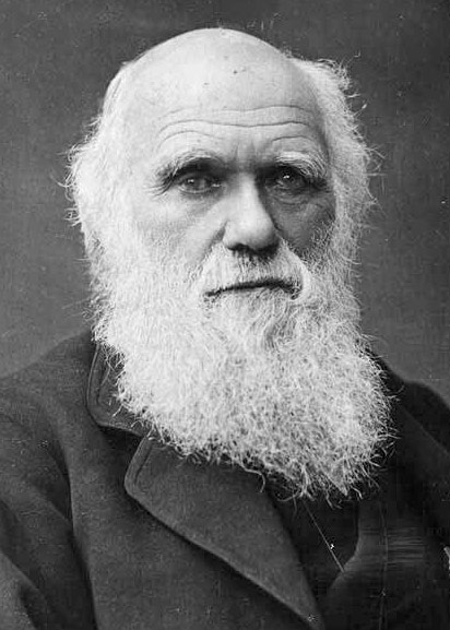 https://www.hominides.com/data/images/illus/Scientifiques/charles-darwin.jpg