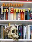 Acheter une reproduction ou un moulage de crâne d'hominidé