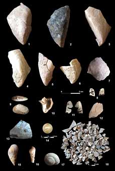 Coquilles mangées par Néandertal il y a 150 000 ans 