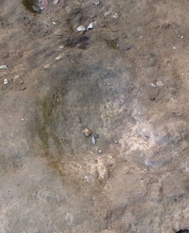 Néandertal faisait cuire de l'eau
