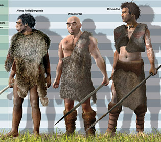 La Taille Des Hommes Prehistoriques Hominides La Taille Des Hommes Prehistoriques Hominides