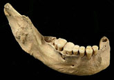 la mandibule du plus vieil ancêtre de l'homme en Chine
