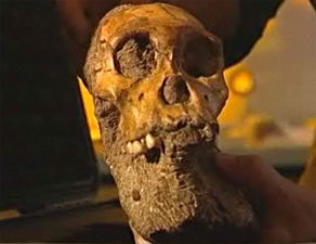 Australopithecus sediba - le crâne du jeune mâle 
