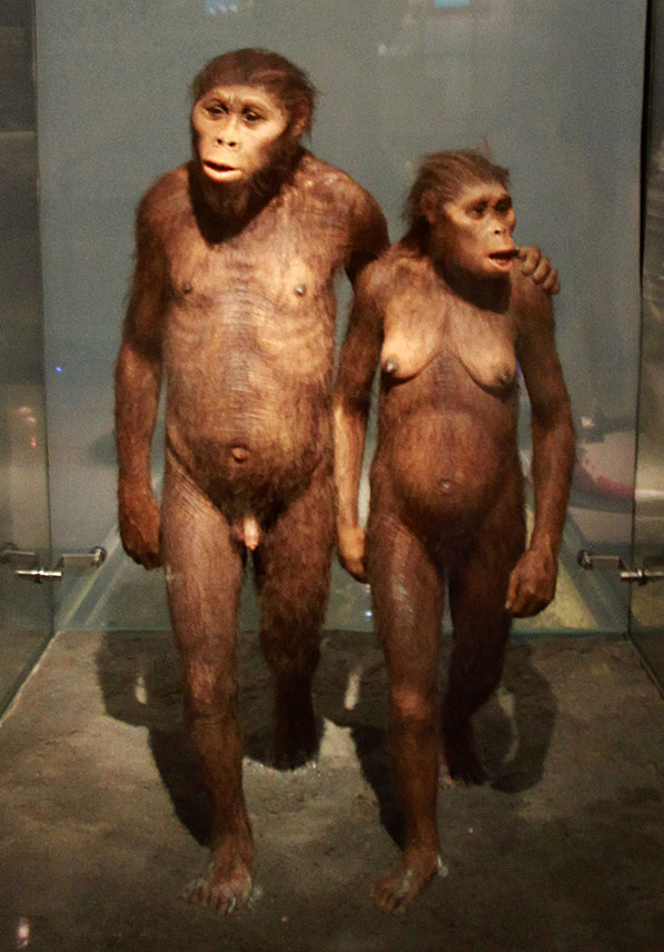 couple-australopithequesjpg