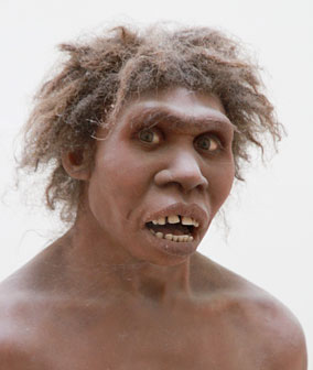 Les bienfaits de la mondialisation. Homo-ergaster-turkana-boy