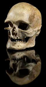 Crâne fossile d'Homo sapiens trouvé à Oberkassel