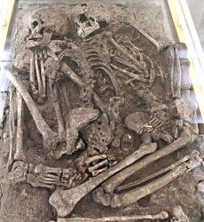 https://www.hominides.com/data/images/illus/ancetres/homo-sapiens/homme-de-grimaldi.jpg
