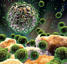 Virus HIV envahissant une cellule sanguine