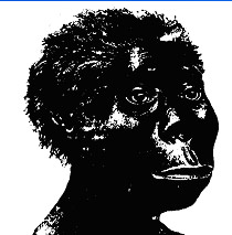 Homo rudolfensis